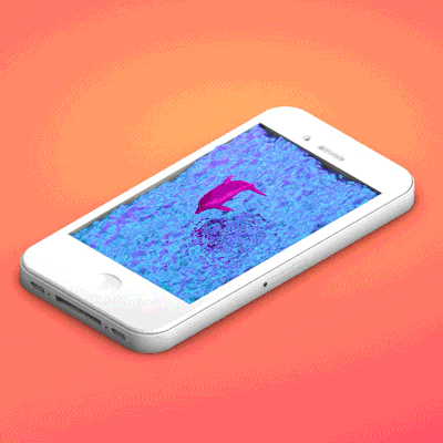 dolphin GIF by Nate Makuch