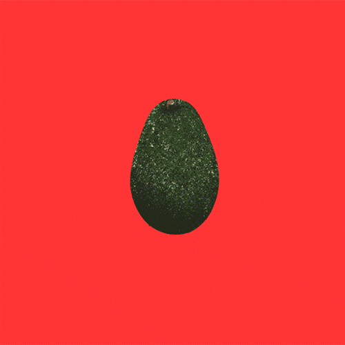 Image result for avocado gifs