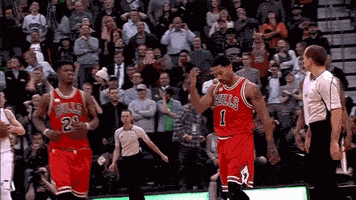tmp rose bow GIF