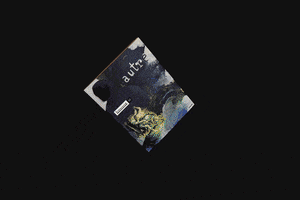 denisesnault irreverent xi : l'autre GIF