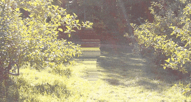 jessicadesrochers  GIF