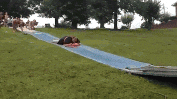 so close slide GIF by AFV Epic Fails