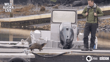 200.gif?cid=fc005b087b022c67ba184f6002d5a65ac4caeba4261ffc6d&rid=200.gif&ct=g