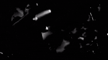 mihaisarlea  GIF