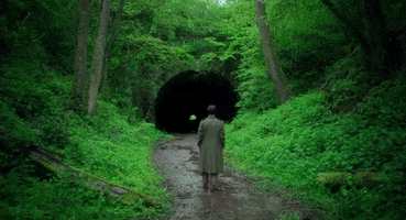 Alex Garland Forest GIF by VVS FILMS