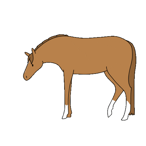 Horse Bedtime Sticker by Happy Horsemanship TV
