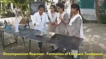 Chemical Reactions GIF