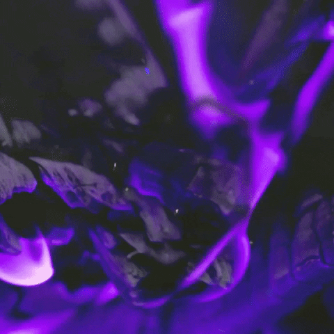 Mixtura Arquitectura GIF