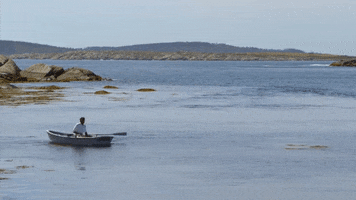boat GIF by Vimeo