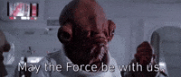 85 - Star Wars Question of the Week! VOLUME ONE - Page 20 200w