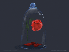 Beauty And The Beast Rose GIF by Ordinary Nadee - Find & Share on GIPHY