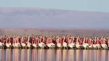 200.gif?cid=fc005b08d86cf9854e77ae6373a7c33d00b5c3f6e6850c6b&rid=200.gif&ct=g