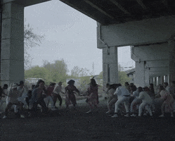 century GIF by Feist