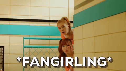 K-Pop Fangirl GIF - Find & Share on GIPHY