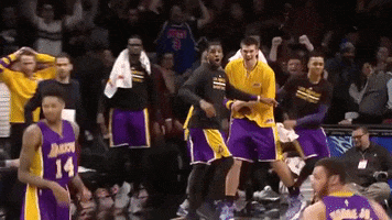 los angeles lakers omg GIF by NBA