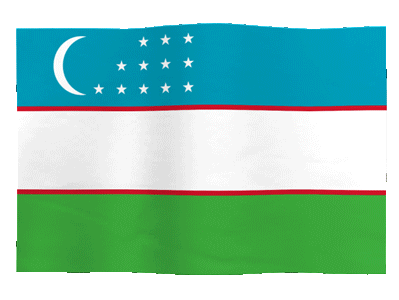 Climate Change Flag Sticker by Meltdown Flags for iOS & Android | GIPHY