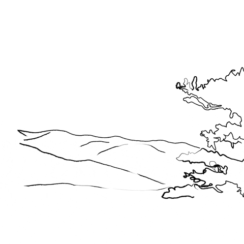 shanebeam animation abstract mountain sketch GIF
