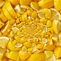 Soak Lemon Pie GIF by Feliks Tomasz Konczakowski
