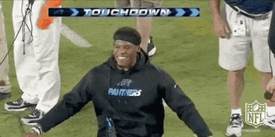 Excited Carolina Panthers GIF by NFL