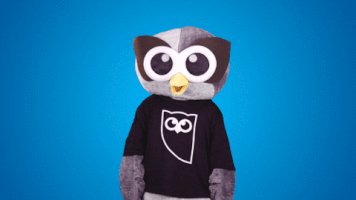 look up GIF by Hootsuite