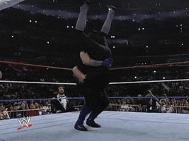 Summerslam 1994 Wrestling GIF by WWE