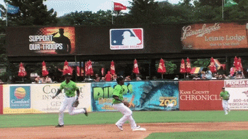 kccougars #out GIF by Kane County Cougars