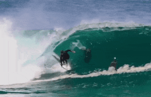 surf dolphin GIF by Sport Decouverte