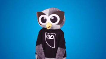 mascot shrug GIF by Hootsuite