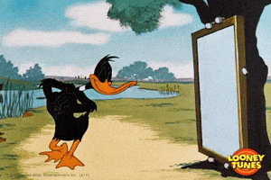daffy duck smile GIF by Looney Tunes