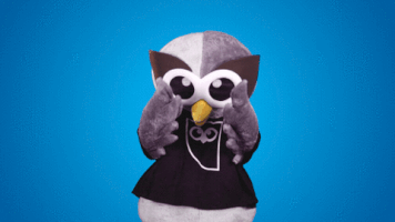 peek a boo surprise GIF by Hootsuite
