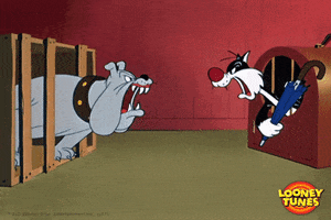 angry fight GIF by Looney Tunes