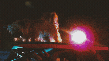 lifesatrip  GIF