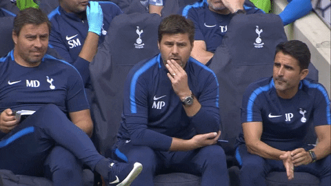 tottenham hotspur