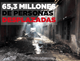 MSF_MX msf mÃ©dicos sin fronteras msf mexico forzados a huir GIF