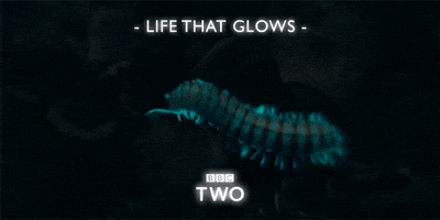 200.gif?cid=fc005b08accc2f8ad9b3025116343a4ca690e753e1069605&rid=200.gif&ct=g
