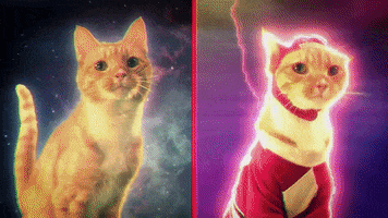 red ranger cats GIF by Power Rangers