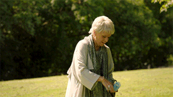 GIF by Tracey Ullman’s Show