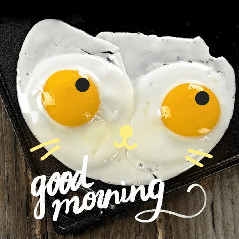 Photo gif. We see two eggs, sunny side up, in a rectangular pan. Yellow lines and black dots are drawn over the scene, making the eggs into the eyes of a cartoon cat face. Cursive text, "Good morning."