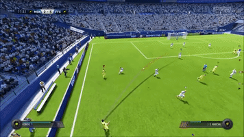 Fifawka GIF