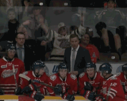 Fans Celebrating GIF