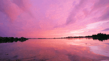 water photography GIF by Living Stills