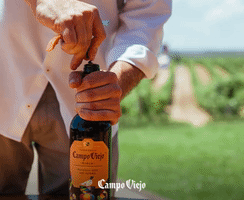 campoviejouk  GIF