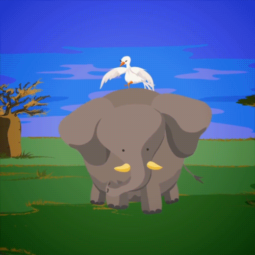 maguare online videos infantil animales GIF