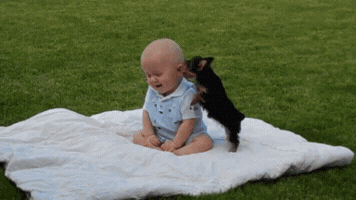 _junnguyen  GIF