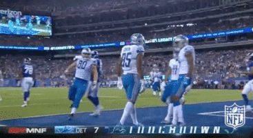 Detroit Lions Football GIF by NFL