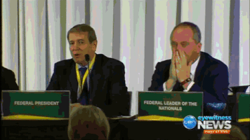 qldaah  GIF
