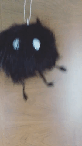 eggs ghibli totoro chihiro dust bunny GIF