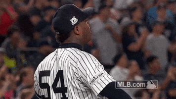 New York Yankees Fist Pump GIF by MLB