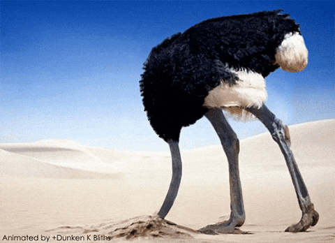 ostrich riding gif