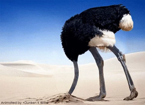 Ostrich Avestruz GIF by Amnistía Internacional España